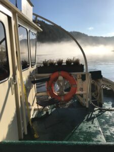 Getting around Dresden by Ferry